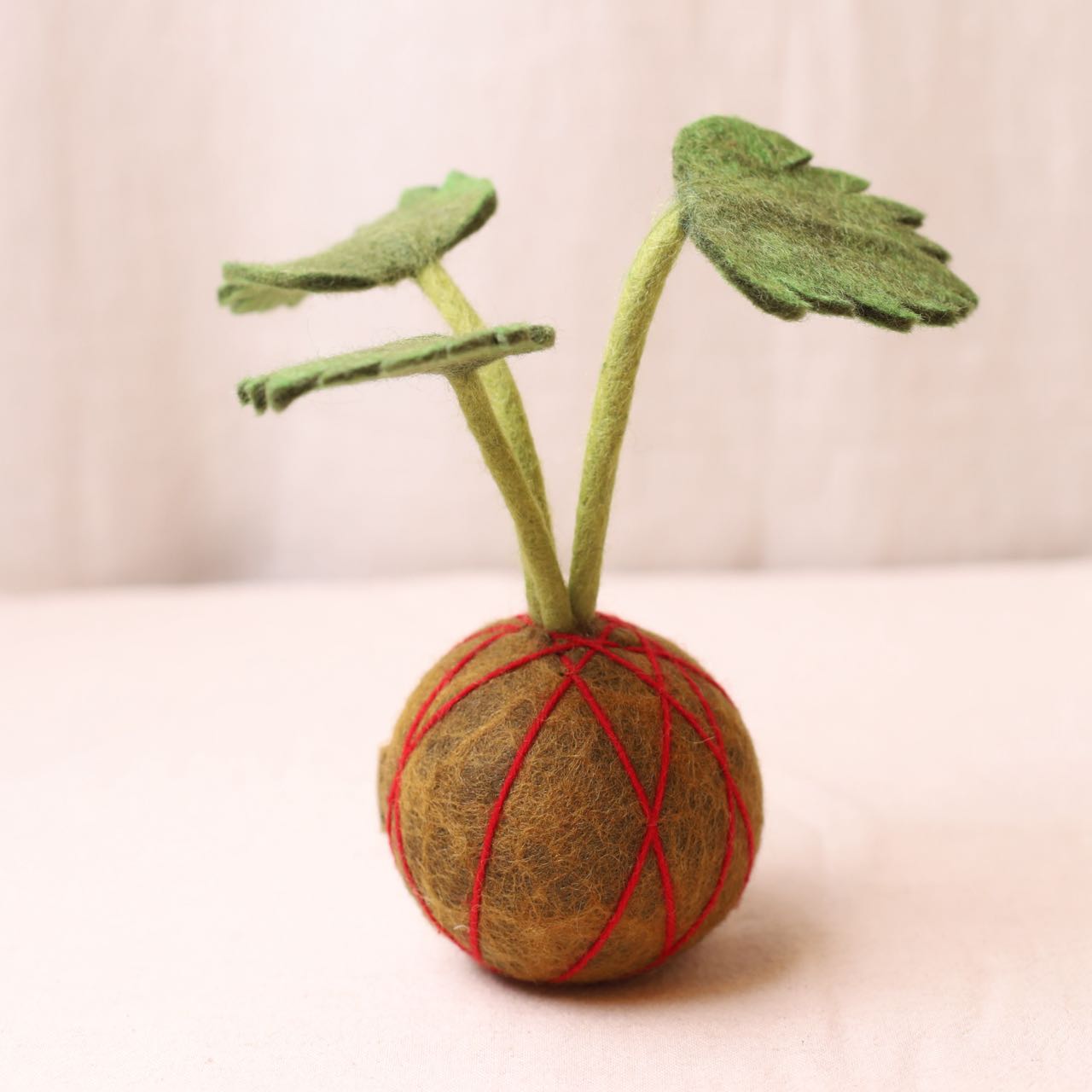 植栽｜小天使苔球